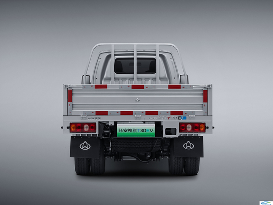2024 Comfort Mini Truck Retail Electric EV Automobile Commerciale T30EV Veicolo energetico