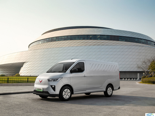 Veicolo energetico commerciale 2024 Wulingyangguang EV Automobile 230km