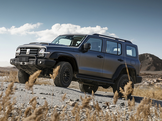 2024 Great Wall Tank 300 SUV Off-Road Fuel Off-Road Avventure con stile