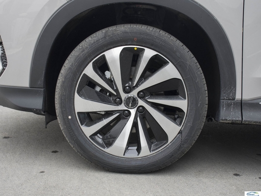 Tech Heating Electric SUV 175km/h Max Speed 5 porte 5 posti SUV con 5 stelle di sicurezza