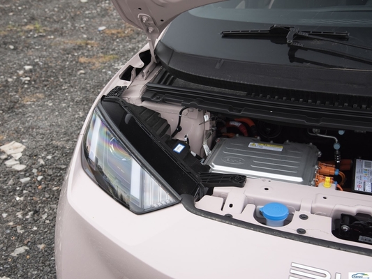 305Km di autonomia Compatta auto elettrica BYD 2024 Glory versione con capacità elettrica pura