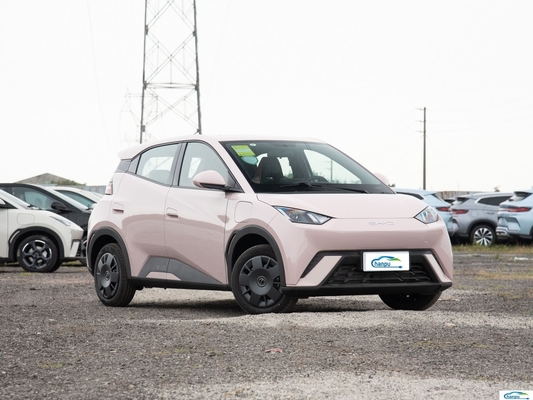 305Km di autonomia Compatta auto elettrica BYD 2024 Glory versione con capacità elettrica pura